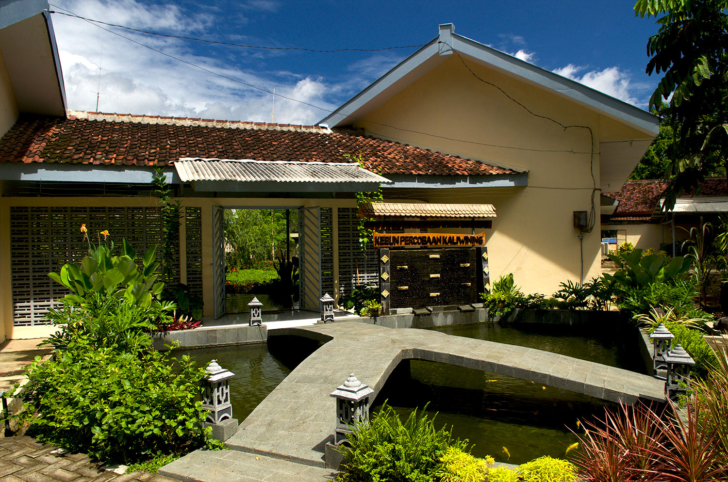 Area Kebun Percobaan praktek budidaya kakao
