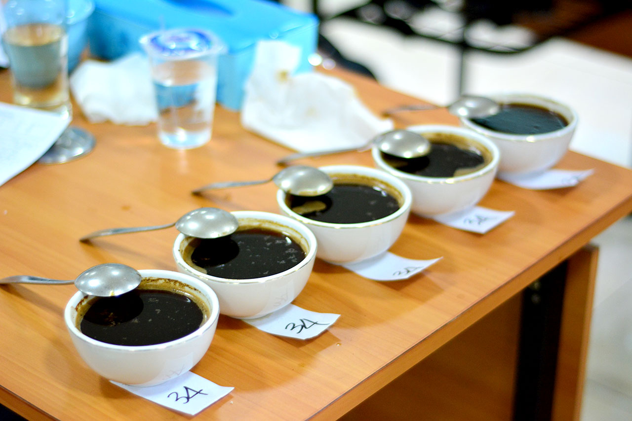 Kegiatan Pelatihan Uji Citarasa Kopi