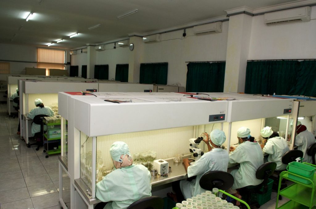 Liquid chromatography research equipment in ICCRI lab